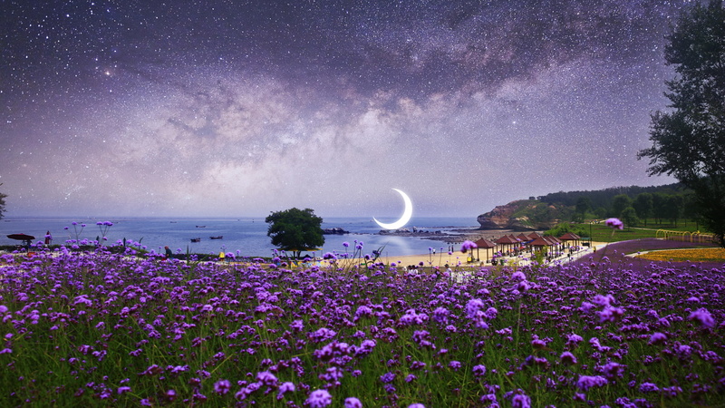 Manipulation, 1080P, Purple Flower, Photography, Crescent, Beach, Starry Sky