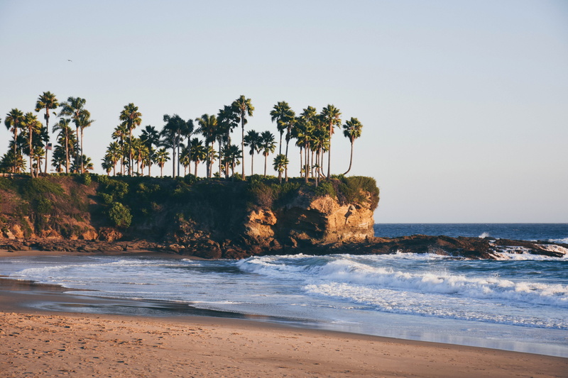 laguna beach, sand, sea, tree, non-urban scene, coconut palm tree, ocean, crescent bay beach, horizon over water, wave, water, no people, tranquility, united states