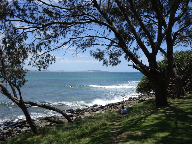 beauty in nature, branch, day, beach, nature, 4K, horizon, idyllic, horizon over water, tranquil scene, ocean, australia, outdoors, crescent head, non-urban scene