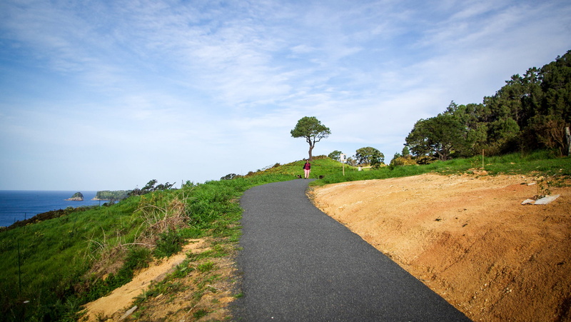 plant, tree, tranquility, direction, cloud - sky, tranquil scene, outdoors, horizon, land, beauty in nature, day, coromandel coast, walkway, coromandel