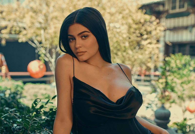 jenner, kylie, plant, hairstyle, drop, portrait, leisure activity, beautiful woman, long hair, beauty, focus on foreground, women, hair, adult, 4K, three