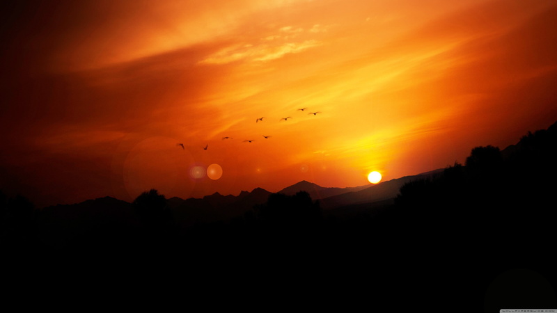 sky, beauty in nature, golden, hour, nature, flying, scenics - nature, 4K, no people, tranquil scene, animal wildlife, bird, mountain, idyllic, landscape