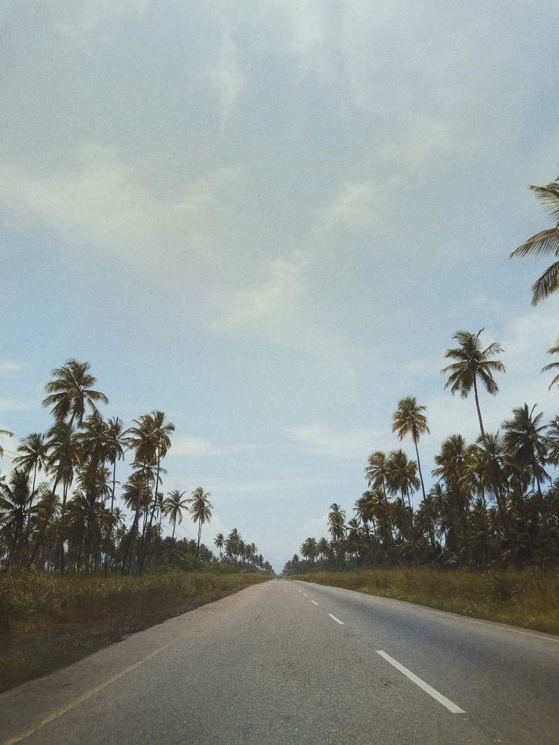 #way, long, #sunshine, 4K, sign, transportation, outdoors, #beach, direction, beauty in nature, road, #work, #caucasin, #tree, #holding, #sun, sky, #sunrise