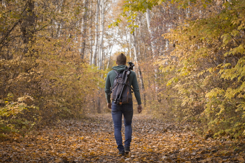color, cullman, leaf, day, plant, adult, tree, manfrotto, rear view, clothing, one person, brown, change, magyar, kecskemét, trees, alone, hungarianboy