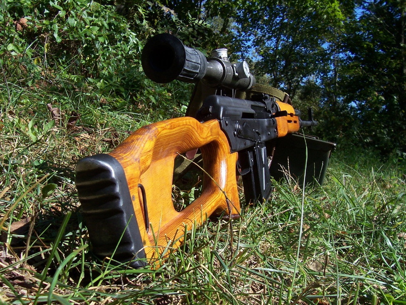 military, growth, equipment, black color, Dragunov, green color, orange color, tree, history, nature, grass, Weapons, plant, plain, outdoors, Sniper Rifle