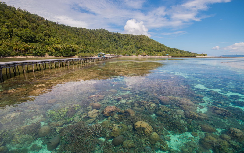 island, 2K, indonesia, papua
