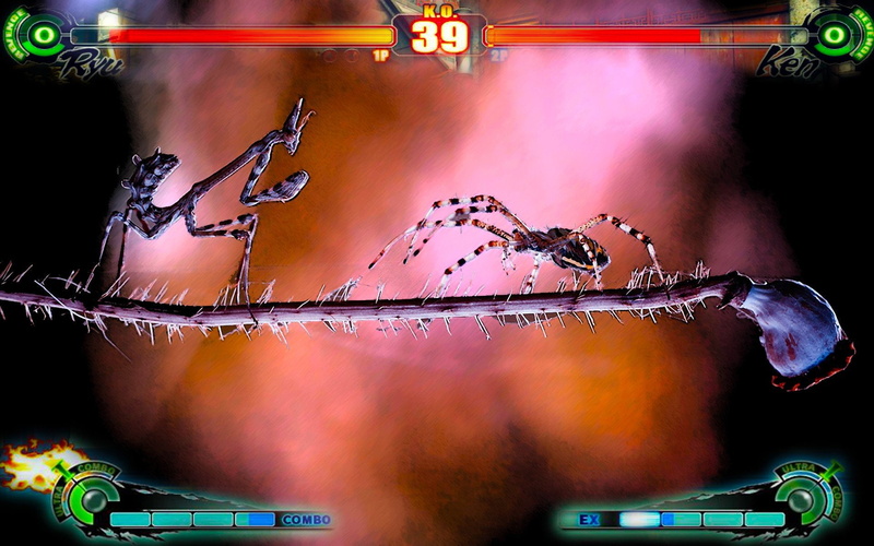 spiders, fighter, video, abstract, online, edition, strike, versus, games, iii, 1080P, 3rd, street