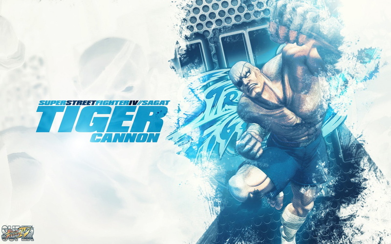 sagat, video, art, x, street, games, fighter, street fighter, hd, 720P