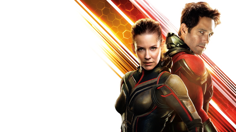 8K, Evangeline Lilly, Action, 4K, Ant-Man, Paul Rudd, 2018, Sci-Fi, Adventure, The Wasp, Ant-Man and the Wasp, 8K