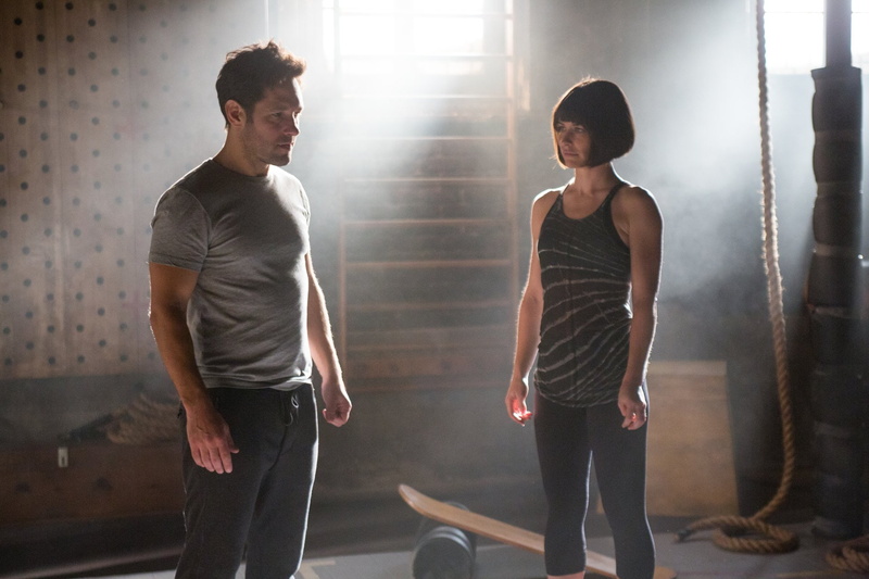 Ant-Man, 1080P, Evangeline Lilly, Movie, Paul Rudd