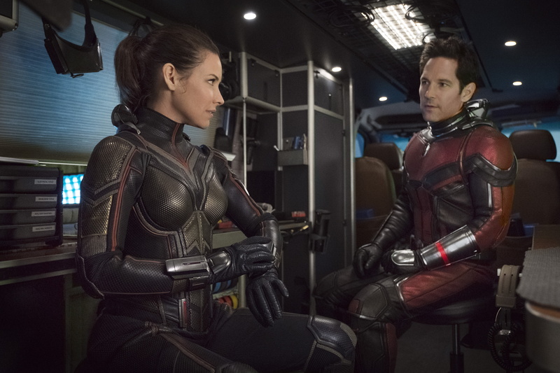 confidence, 5K, 5k, exercising, brown hair, women, 4k, sport, young women, leather, ant man, young adult, hairstyle, movies, gym, young men, hd, indoors