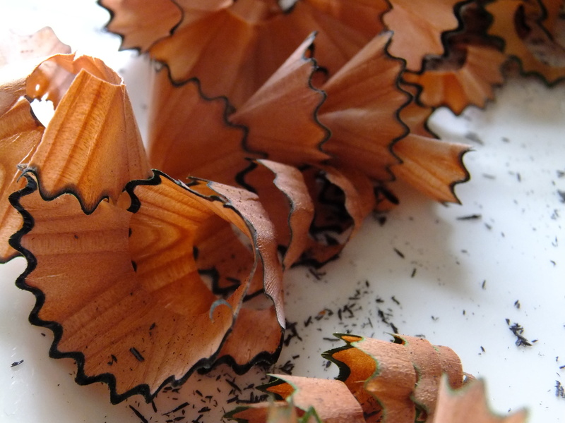 pencil shavings, high angle view, spitz flowers, shavings, office accessories, brown, art and craft, leave, selective focus, metal, no people, design, wood - Material