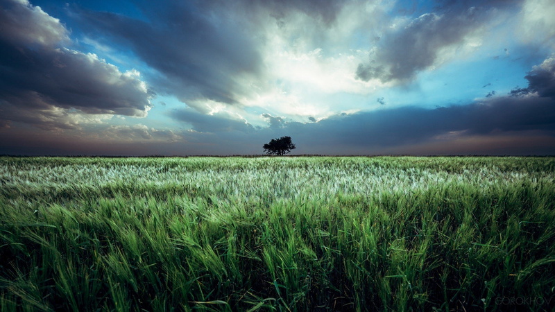 gorokhov, 500px, art, sky, Ivan Gorokhov, Field, 1080P, px, 2048x1152 px, hd, Clouds, cars, lamborghini, x, ivan, plants, Landscape