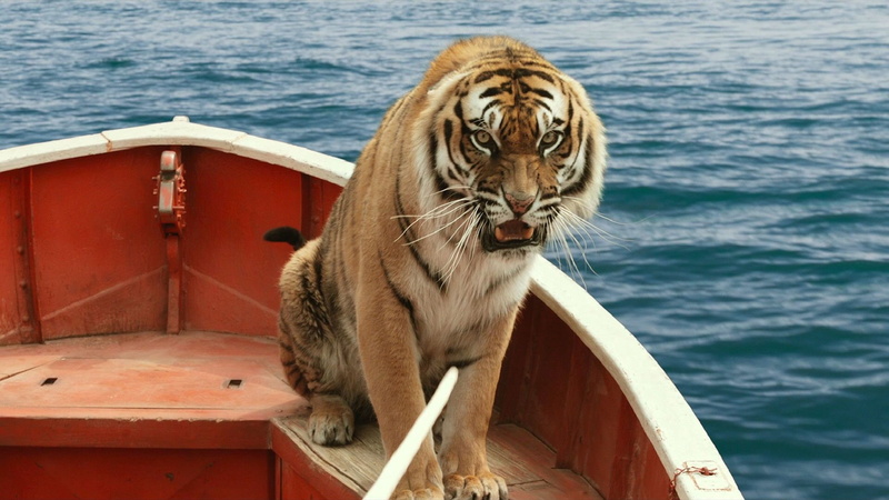 looking, one animal, life, fantasy, Voyage, Tiger, adventure, family, d, Shipwreck, Friend, day, mammal, cat, nautical vessel, 3, animal wildlife, boat