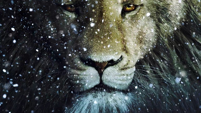 Movie, The Chronicles of Narnia: The Voyage of the Dawn Treader, Dawn, 1080P, Narnia, Lion