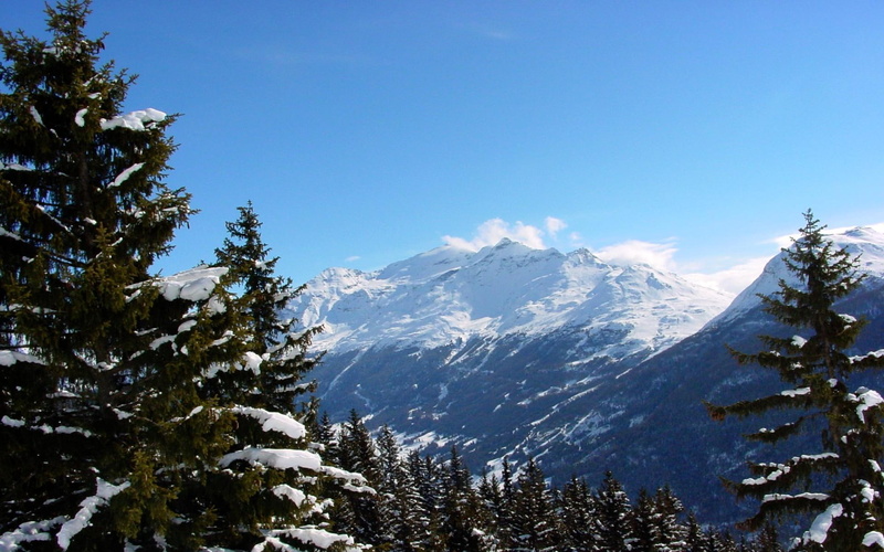 trees, peaceful, savoie, picture, other, mountains, snow, beautiful, cold, 1080P, nice, winter, forces of nature, alps