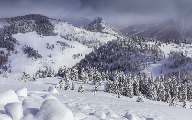 pine tree, ice, mountain range, land, season, scenics, snowcapped mountain, powder snow, tranquil Scene, landscape, blue, cold temperature, nature, Austria