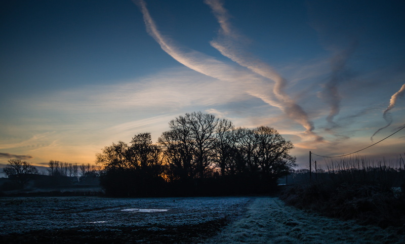 frost, tranquility, cloud, winter, sky, leafless, plant, scenics, underneath, trees, land, silhouette, white, environment, night, blue, cold temperature