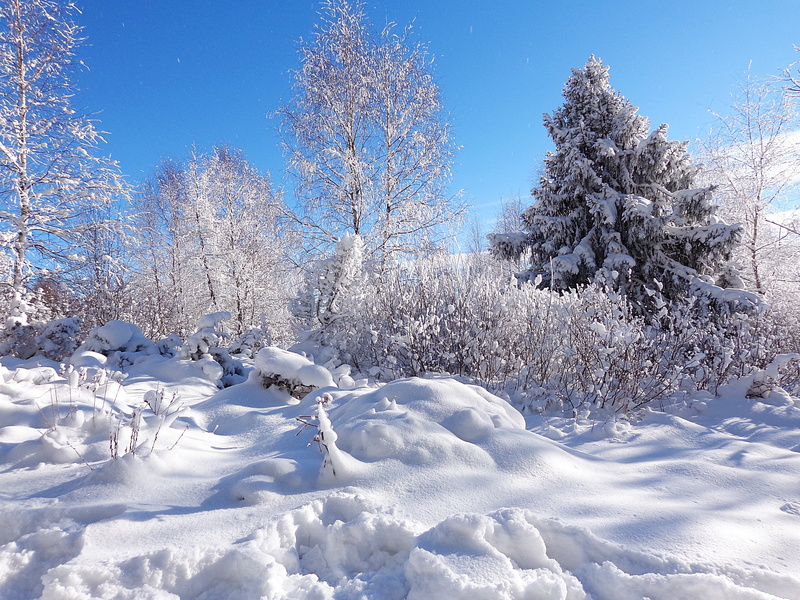 4K, snowing, trail, tranquil scene, sky, panorama, beauty in nature, mountain, the sun, white, the power of the mountains, pine tree, cold temperature