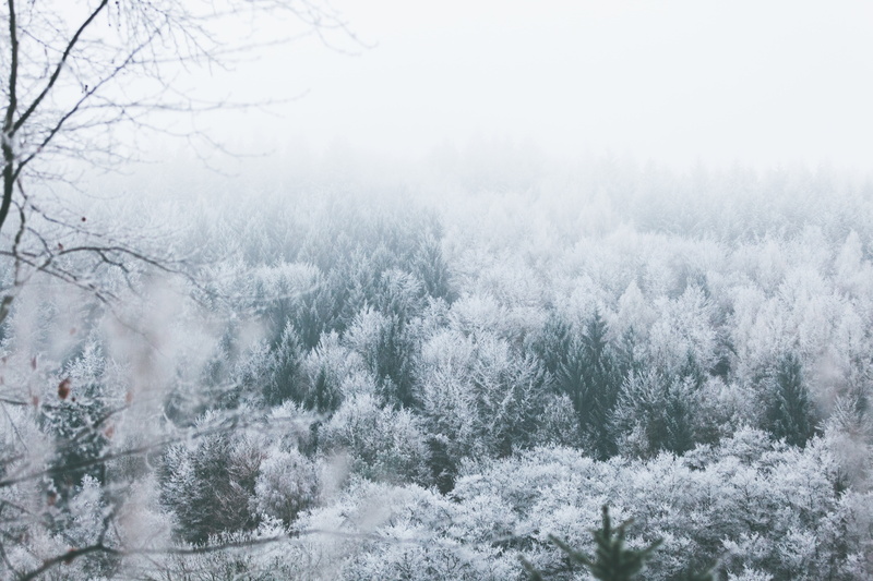 sky, cold temperature, no people, adventure, snow, landscape, tranquil scene, scenics - nature, 5K, frozen, environment, outdoors, clouds, evergreen tree