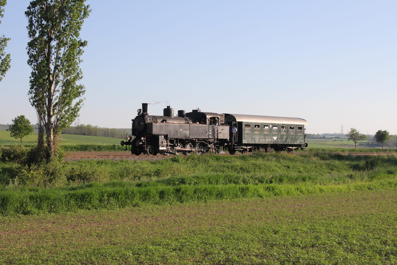 antique, green color, pulkautal, no people, tree, train, mode of transportation, austria, sky, grass, 2K, row 93, track, agriculture, plant, outdoors