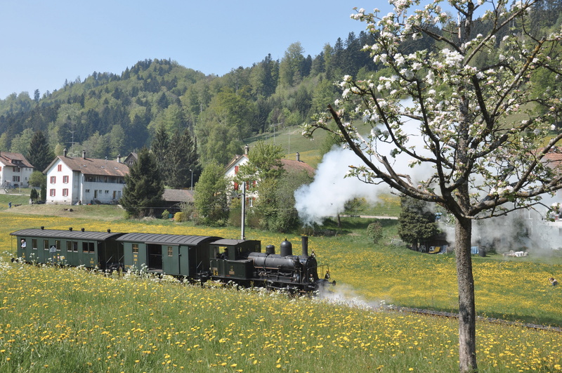 field, steam train, plant, built structure, day, mode of transportation, branch line, cylinder steam, nostalgia, 4K, rail transportation, grass, steam