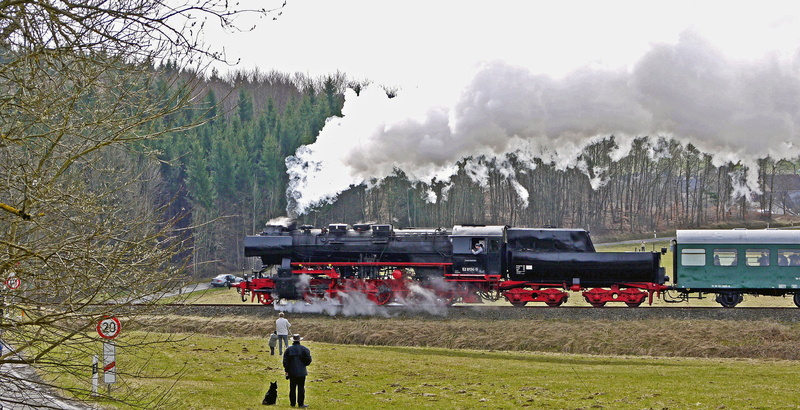 level crossing, eifelquerbahn, environment, nature, mode of transportation, goods train locomotive, commercial land vehicle, plant, group of people, observer