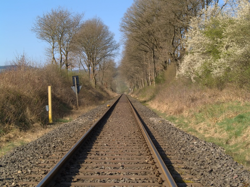 rail transportation, railroad tracks, straight, curve, plant, train, soft, instructions, rails, railway line, scenic, andreaskreuz, the way forward, railroad track