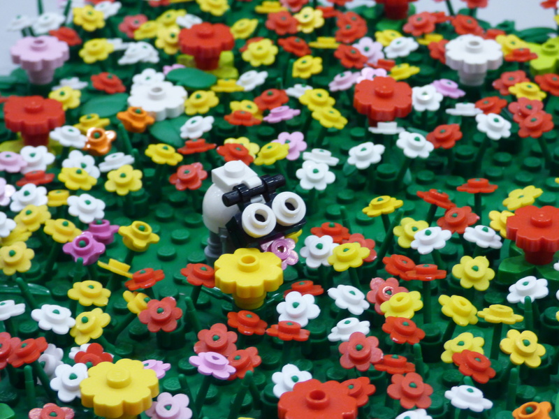 flower, fragility, choice, green color, meadow, large group of objects, polyana, 4K, high angle view, yellow, cow, button, toy, inflorescence, freshness