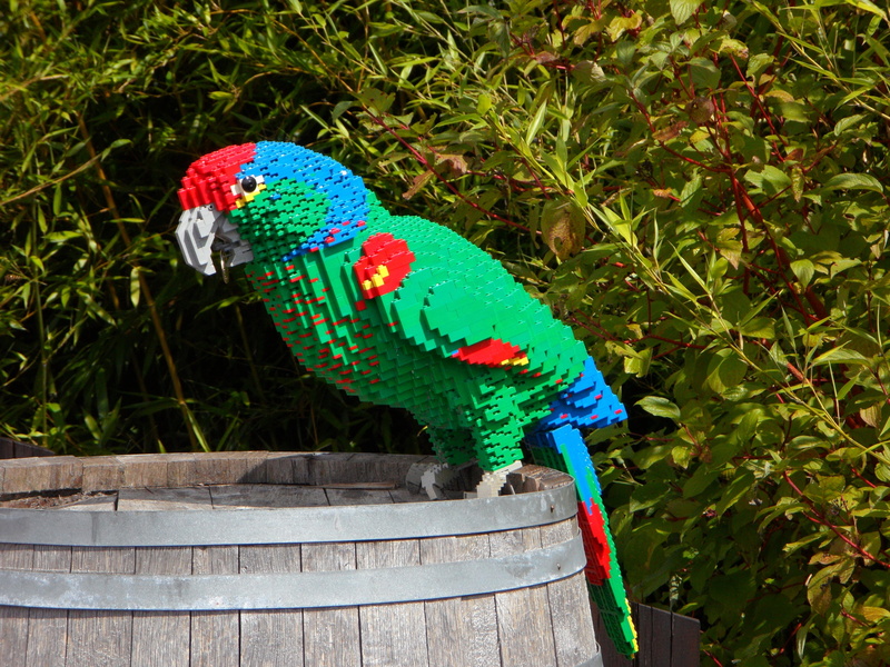 built, rainbow lorikeet, no people, out of legos, children, pirate bird, wood - material, green color, building blocks, 4K, sculpture, theme park, bird