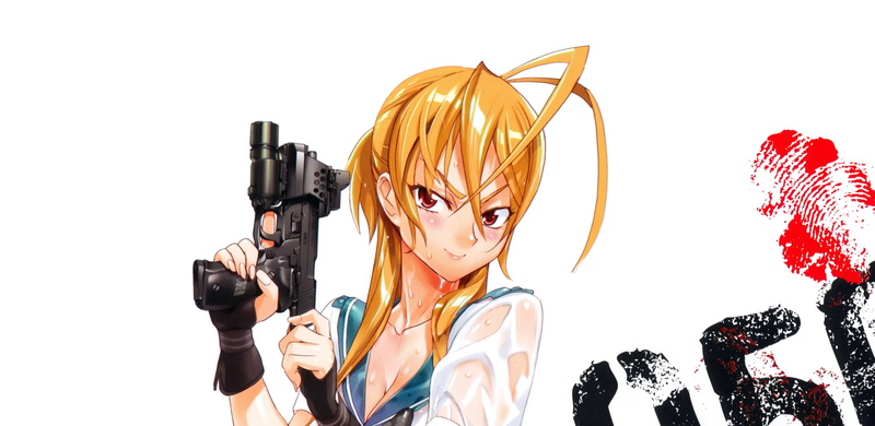 Anime, Highschool Of The Dead, Rei Miyamoto, 2K