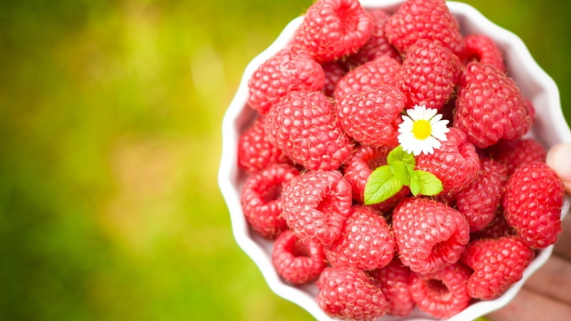 mint leaves, food, red, flowers, no people, nature, fruit, raspberries, raspberry, healthy eating, food and drink, green color, focus on foreground, close-up