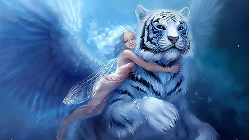 sleeping, angel, white tiger, fantasy, 1080P