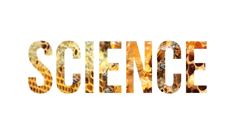 still life, capital letter, 4K, no people, close-up, alphabet, indoors, studio shot, panoramic, connection, insect, western script, overlay, technology
