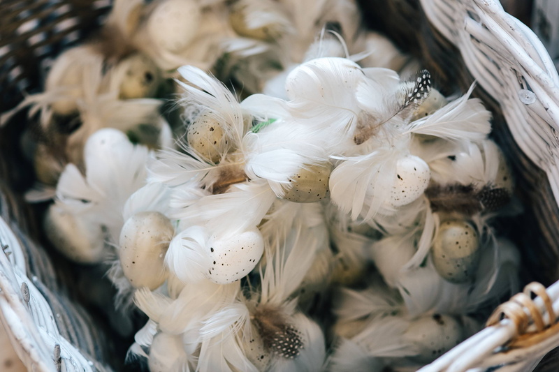 market, quail eggs, animal, still life, white, table, 4K, decorated, bird, softness, selective focus, indoors, retail, chicken - bird, dinner, large group of animals