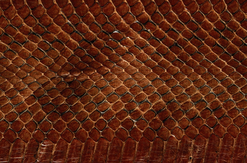 print, full frame, repetition, brick, wall - building feature, snakeskin, 2K, wall, indoors, texture, wood - Material, textured, no People, pattern, large group of objects
