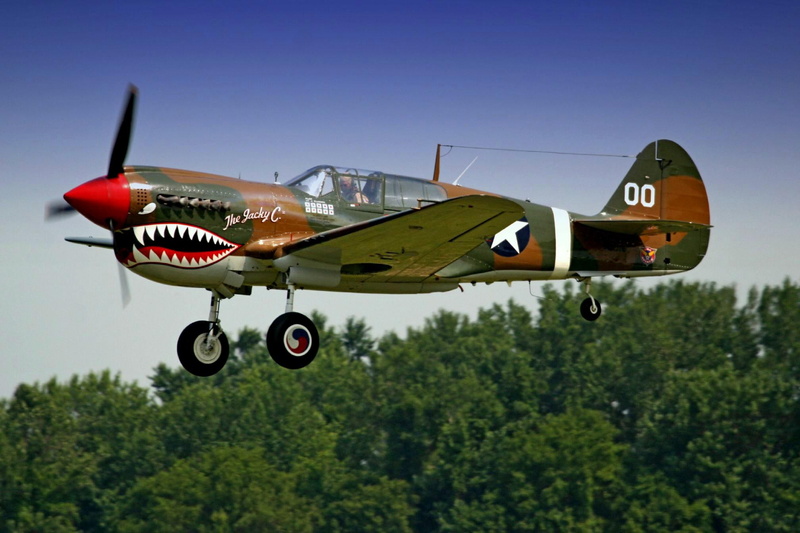 p-40, classic, antique, landing, p, airplane, plane, green, brown, aircraft planes, 1080P, warhawk, fighter, wwii, curtiss
