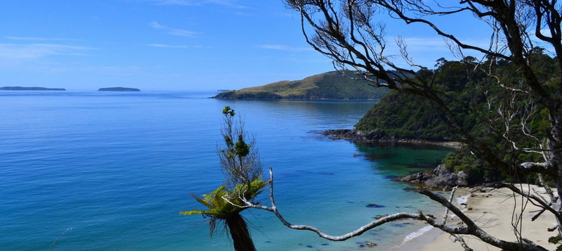 island, outdoors, tree, water, branch, blue, nature, tranquility, plant, sand, idyllic, tranquil scene, day, hills, sky, photography, no people, growth