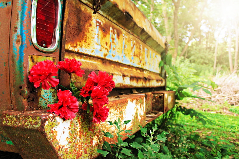 brown, old-fashioned, no people, pattern, dirty, romantic, grunge, rust, floral, border, leaf, ornament, love, elegance, metal, wood, outdoors, built structure