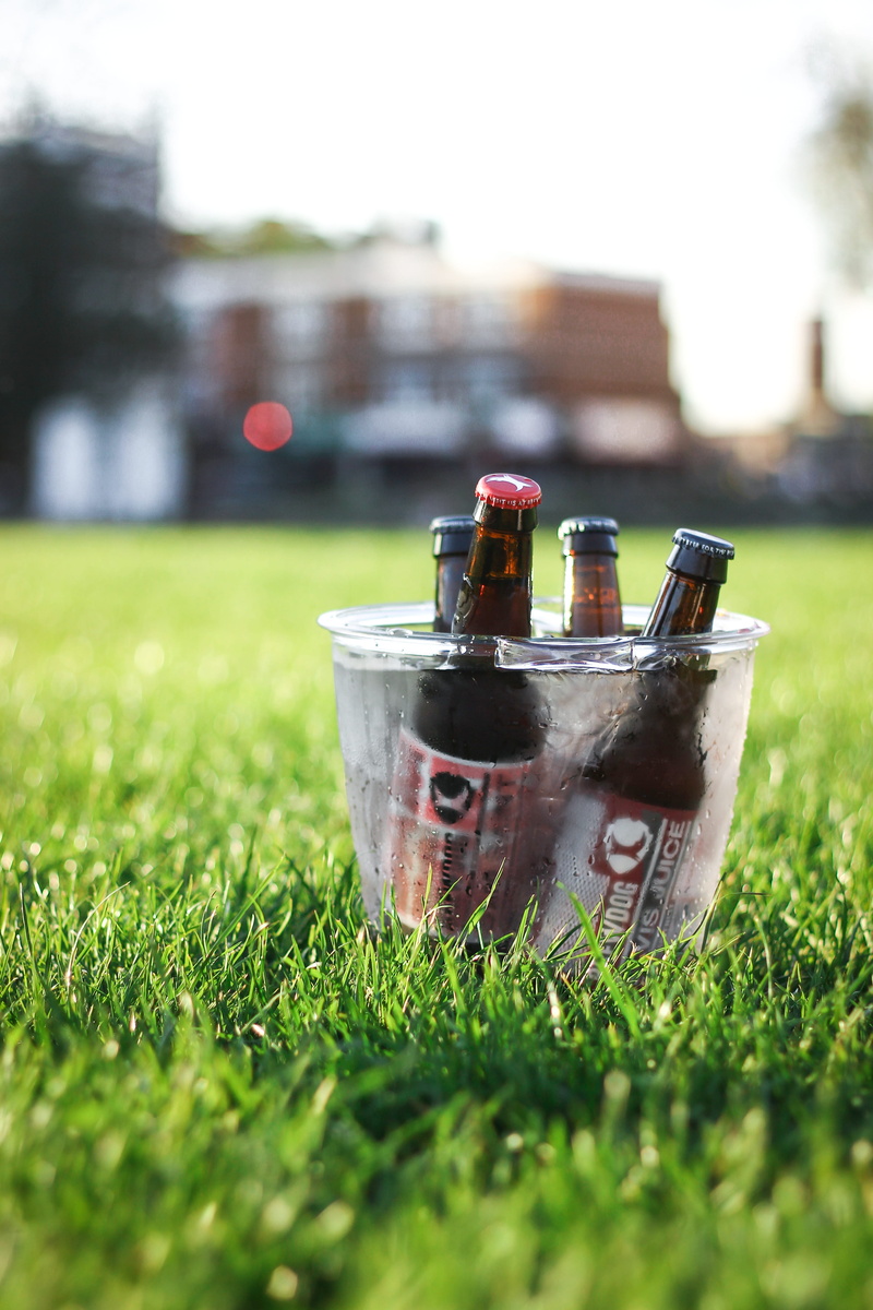 spring, united kingdom, photography, beer, sunlight, summer, turnham green, shallow, chiswick, day, green color, grass, beverage, ale, park, london, lawn
