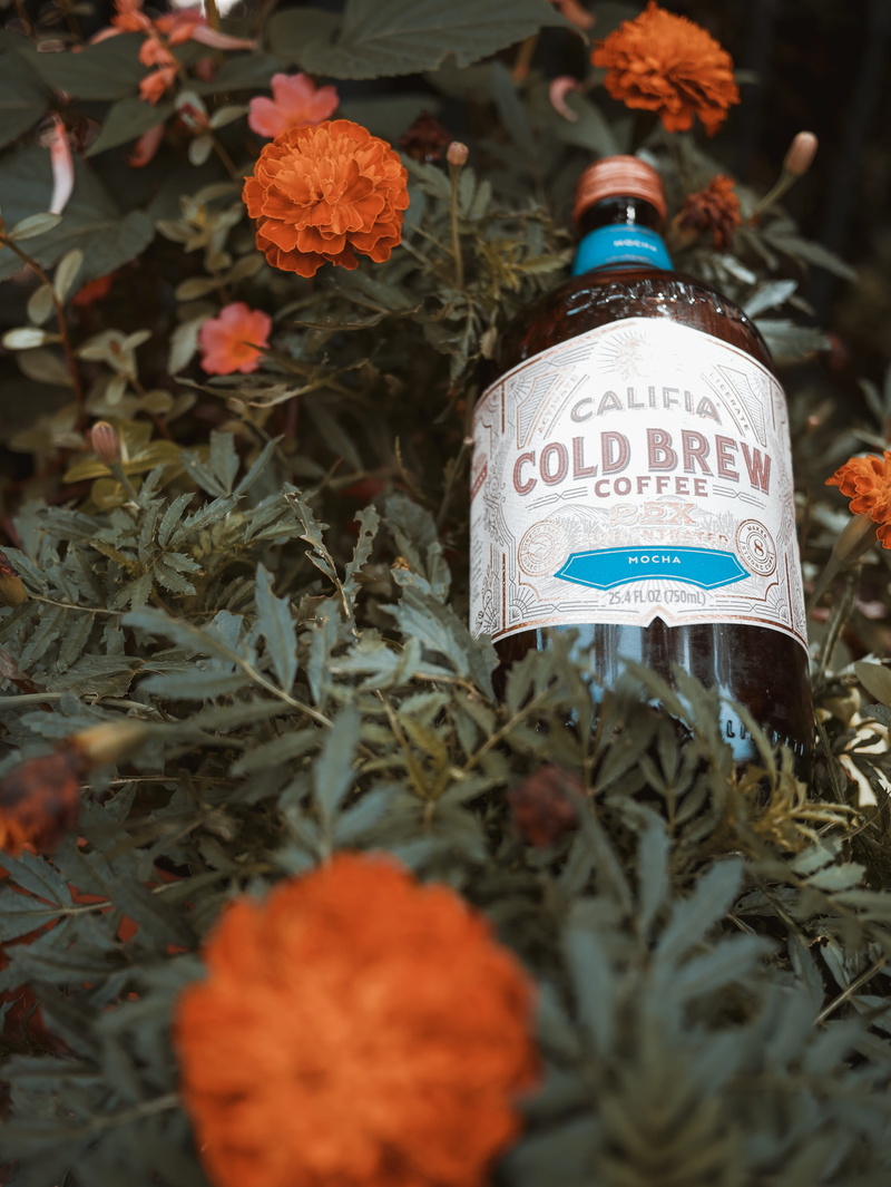 vase, number, message, drink, selective focus, petaled, leaves, beer, jar, outdoors, flower, 4K, western script, growth, sign, beer bottle, brew, information