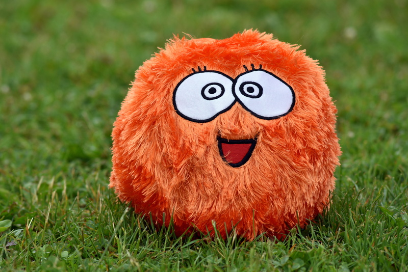 eyes, hairy, funny, plant, humor, play, animal representation, orange, rush, fluffy, day, sport, mammal, about, green color, art and craft, craft, happy