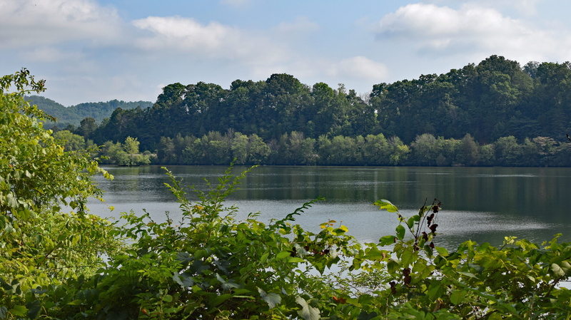 plant, Lake, clinch, scenics - nature, Melton, nature, summer, smoky mountains, tennessee, environment, landscape, cloud - sky, Day, water, river, beauty in nature