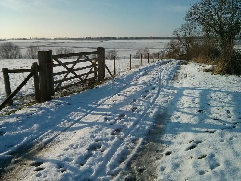 field, winter, cold temperature, cold - Temperature, fields, cold, water, outdoors, tranquil scene, landscape, land, frozen, scenics - nature, non-urban scene