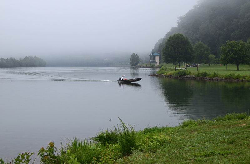 water, peaceful, tennessee, plant, serene, melton lake park, Lake Park, mode of transportation, real people, tree, Melton, Boater, tranquility, nature