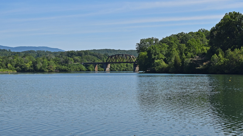 bridge, no people, summer, melton lake, bridge - man made structure, nature, tree, 4K, day, serene, tranquility, travel destinations, plant, built structure