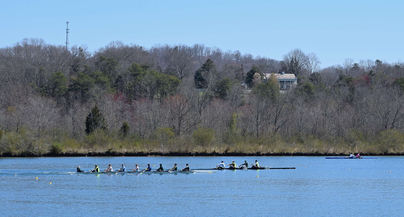 men, sky, large group of animals, vertebrate, animals in the wild, flock of birds, animal themes, rowing, house, background, tennessee, bird, group of animals