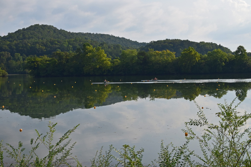green color, sport, growth, sky, scull rowing, clinch river, tranquil scene, melton lake, tranquility, outdoors, beauty in nature, tennessee, cloud - sky