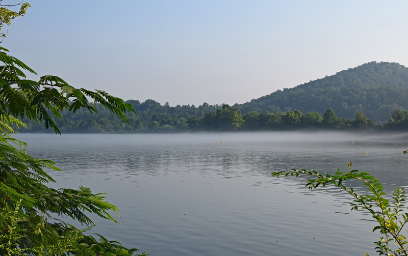 reflection, serene, environment, scenics - nature, tree, nature, fog, clinch river, animal wildlife, melton lake on foggy morning, landscape, smoky mountains