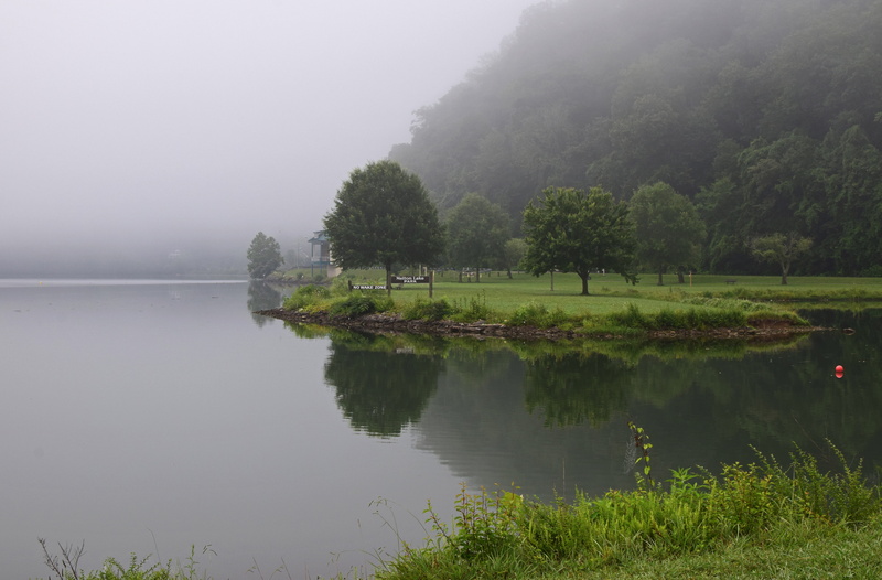 peaceful, Melton, green color, plant, growth, beauty in nature, In The Fog, no people, melton lake park, tranquil scene, fog, tranquility, colorful, grass